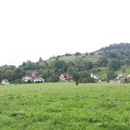 Les Studios Du Frankenthal Stosswihr Экстерьер фото