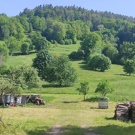 Les Studios Du Frankenthal Stosswihr Экстерьер фото