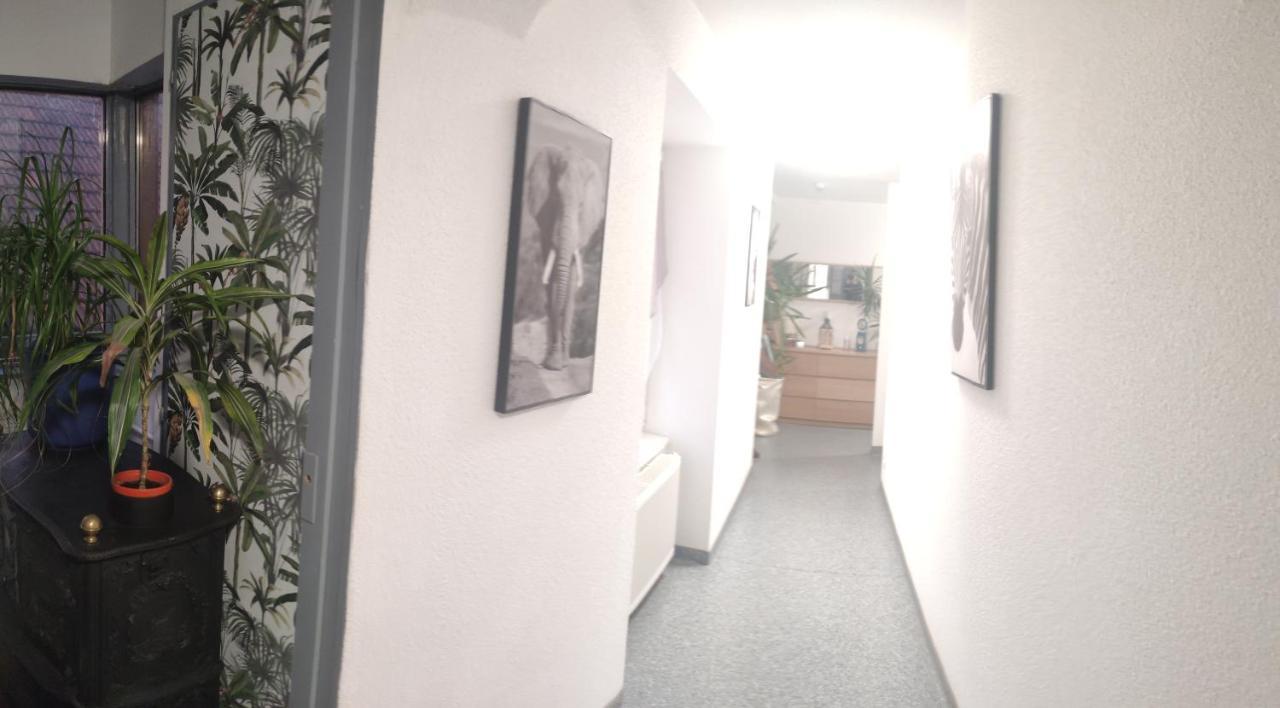 Les Studios Du Frankenthal Stosswihr Экстерьер фото