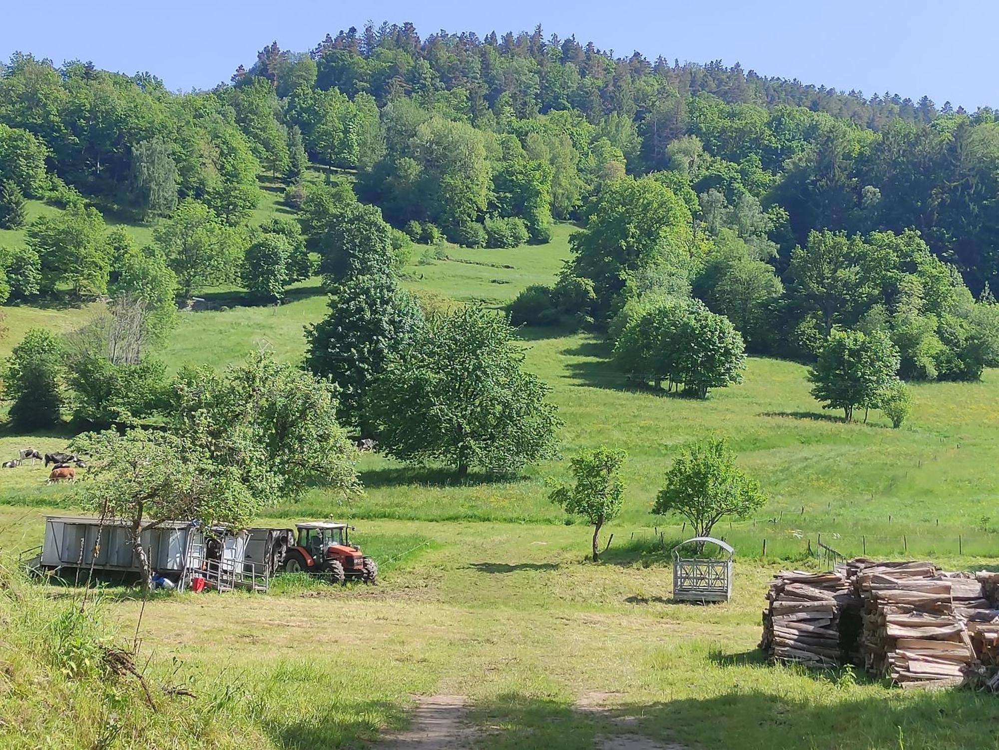 Les Studios Du Frankenthal Stosswihr Экстерьер фото