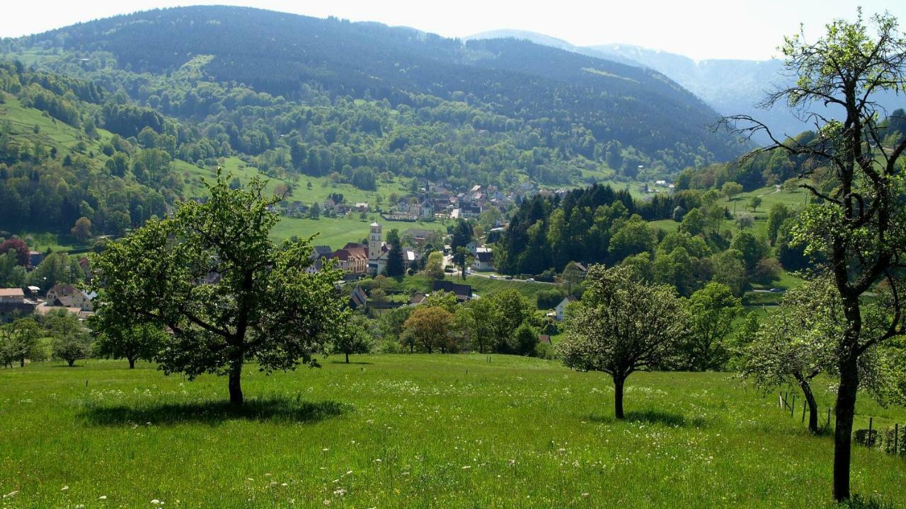 Les Studios Du Frankenthal Stosswihr Экстерьер фото