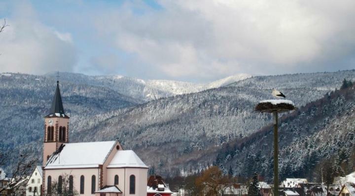 Les Studios Du Frankenthal Stosswihr Экстерьер фото